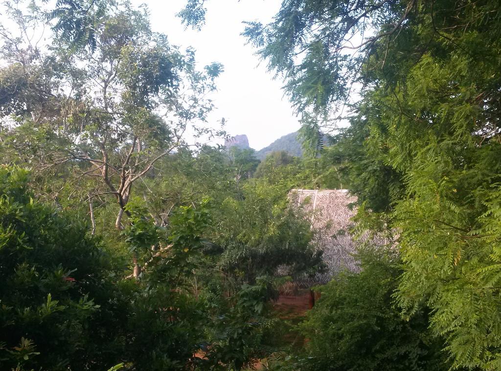 Kuwera Eco Lodge سيغيرِيا المظهر الخارجي الصورة