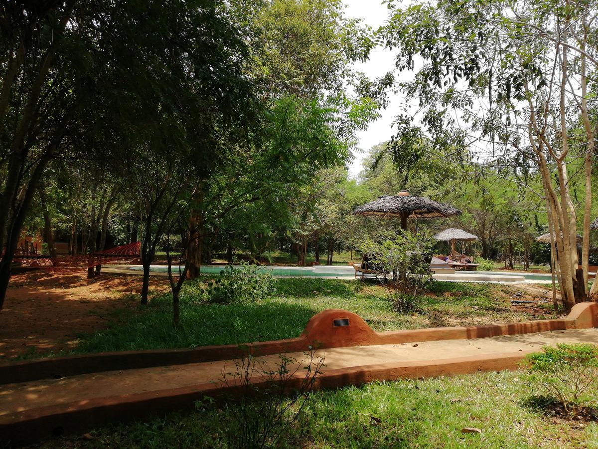 Kuwera Eco Lodge سيغيرِيا المظهر الخارجي الصورة