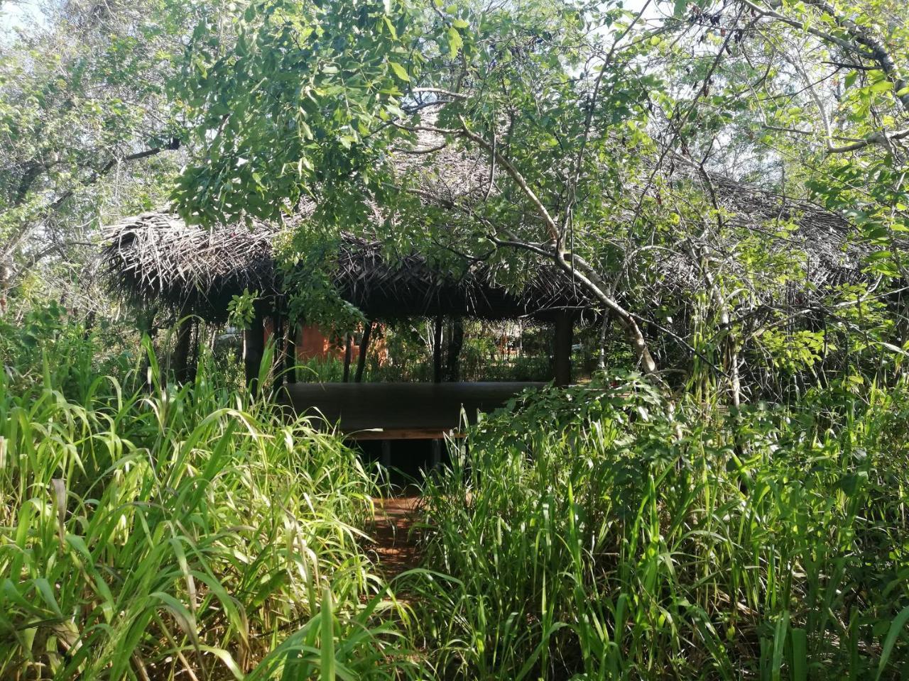 Kuwera Eco Lodge سيغيرِيا المظهر الخارجي الصورة